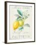 Floursack Lemon II-Danhui Nai-Framed Art Print