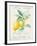 Floursack Lemon II-Danhui Nai-Framed Art Print