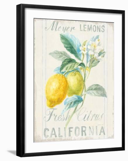 Floursack Lemon II-Danhui Nai-Framed Art Print