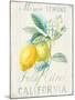 Floursack Lemon II-Danhui Nai-Mounted Art Print