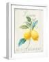 Floursack Lemon III-Danhui Nai-Framed Art Print