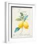 Floursack Lemon III-Danhui Nai-Framed Art Print