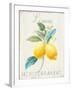 Floursack Lemon III-Danhui Nai-Framed Art Print