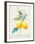 Floursack Lemon III-Danhui Nai-Framed Art Print