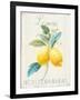 Floursack Lemon III-Danhui Nai-Framed Art Print