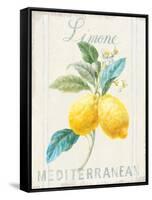 Floursack Lemon III-Danhui Nai-Framed Stretched Canvas