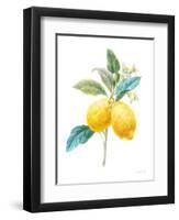 Floursack Lemon IV on White-Danhui Nai-Framed Art Print