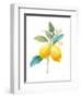 Floursack Lemon IV on White-Danhui Nai-Framed Art Print