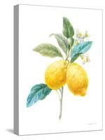 Floursack Lemon IV on White-Danhui Nai-Stretched Canvas