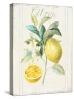 Floursack Lemon IV v2-Danhui Nai-Stretched Canvas