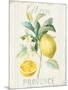 Floursack Lemon IV-Danhui Nai-Mounted Art Print