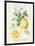 Floursack Lemon IV-Danhui Nai-Framed Art Print