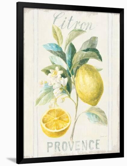 Floursack Lemon IV-Danhui Nai-Framed Art Print