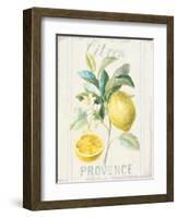 Floursack Lemon IV-Danhui Nai-Framed Art Print