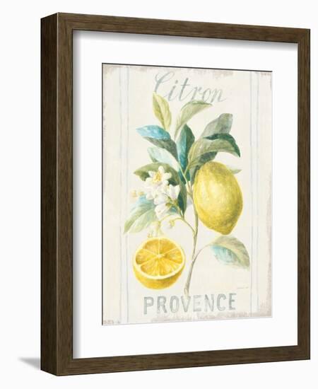 Floursack Lemon IV-Danhui Nai-Framed Art Print