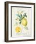 Floursack Lemon IV-Danhui Nai-Framed Art Print