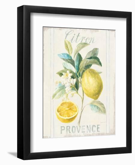 Floursack Lemon IV-Danhui Nai-Framed Art Print