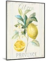 Floursack Lemon IV-Danhui Nai-Mounted Art Print