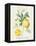 Floursack Lemon IV-Danhui Nai-Framed Stretched Canvas