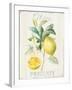 Floursack Lemon IV-Danhui Nai-Framed Art Print