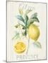 Floursack Lemon IV-Danhui Nai-Mounted Art Print