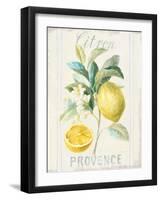 Floursack Lemon IV-Danhui Nai-Framed Art Print