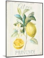 Floursack Lemon IV-Danhui Nai-Mounted Art Print