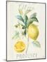 Floursack Lemon IV-Danhui Nai-Mounted Art Print