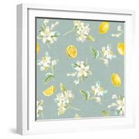 Floursack Lemon Pattern III-Danhui Nai-Framed Art Print