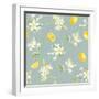 Floursack Lemon Pattern III-Danhui Nai-Framed Art Print