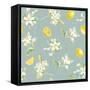 Floursack Lemon Pattern III-Danhui Nai-Framed Stretched Canvas