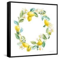 Floursack Lemon V on White-Danhui Nai-Framed Stretched Canvas