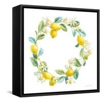 Floursack Lemon V on White-Danhui Nai-Framed Stretched Canvas