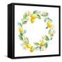 Floursack Lemon V on White-Danhui Nai-Framed Stretched Canvas