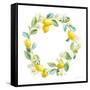 Floursack Lemon V on White-Danhui Nai-Framed Stretched Canvas