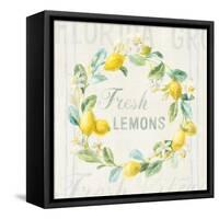Floursack Lemon V-Danhui Nai-Framed Stretched Canvas