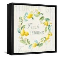 Floursack Lemon V-Danhui Nai-Framed Stretched Canvas