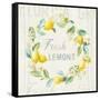 Floursack Lemon V-Danhui Nai-Framed Stretched Canvas