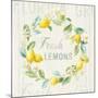 Floursack Lemon V-Danhui Nai-Mounted Art Print