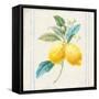 Floursack Lemons III Sq Navy-Danhui Nai-Framed Stretched Canvas