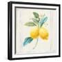 Floursack Lemons III Sq Navy-Danhui Nai-Framed Art Print