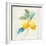 Floursack Lemons III Sq Navy-Danhui Nai-Framed Art Print