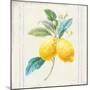 Floursack Lemons III Sq Navy-Danhui Nai-Mounted Art Print