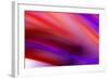 Flow I-Alan Hausenflock-Framed Photographic Print