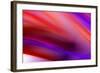 Flow I-Alan Hausenflock-Framed Photographic Print