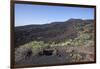 Flow of Lava of the Volcano Teneguia, La Palma, Erupted in 1971, Canary Islands, Spain, Europe-Gerhard Wild-Framed Photographic Print