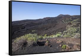 Flow of Lava of the Volcano Teneguia, La Palma, Erupted in 1971, Canary Islands, Spain, Europe-Gerhard Wild-Framed Stretched Canvas