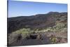 Flow of Lava of the Volcano Teneguia, La Palma, Erupted in 1971, Canary Islands, Spain, Europe-Gerhard Wild-Stretched Canvas