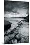 Flow to The Sea-Andreas Stridsberg-Mounted Giclee Print