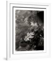 Flow-Andrew Geiger-Framed Collectable Print